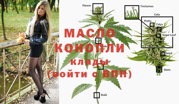 эйфоретик Зерноград