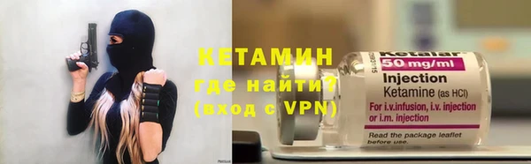 сатива Заводоуковск