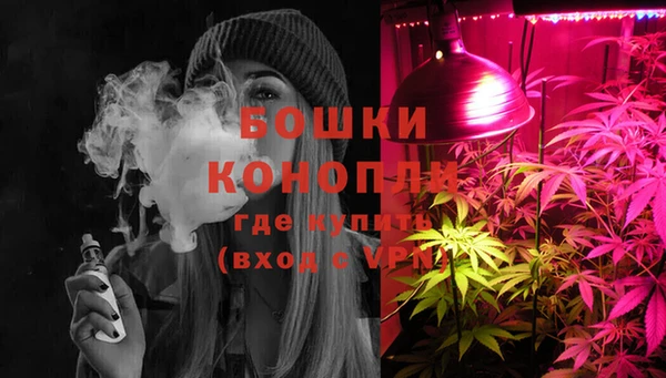 сатива Заводоуковск