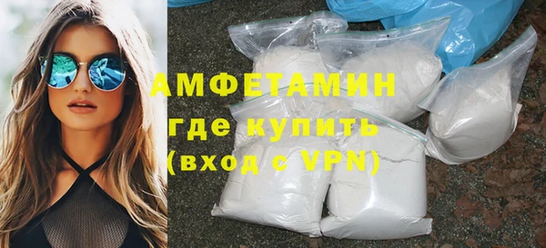 сатива Заводоуковск