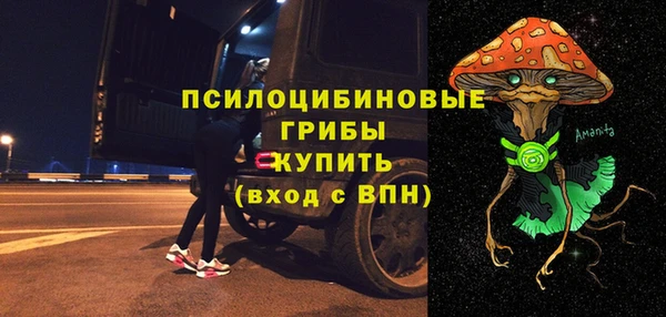 сатива Заводоуковск