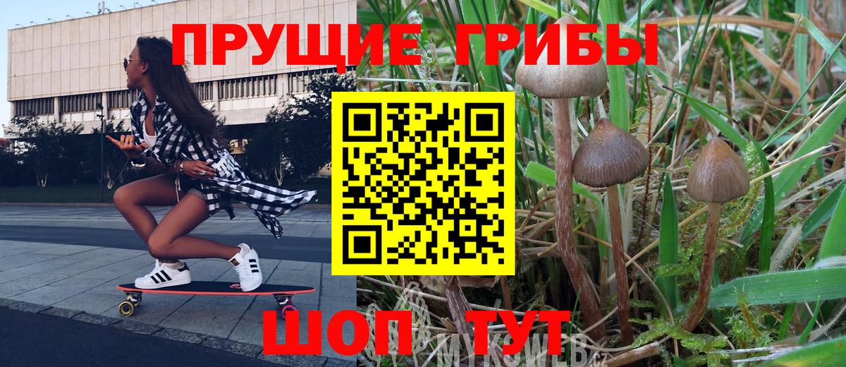 Галлюциногенные грибы прущие грибы Карталы