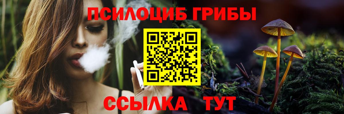 дарнет шоп  Вход с VPN  Карталы  Псилоцибиновые грибы прущие грибы 